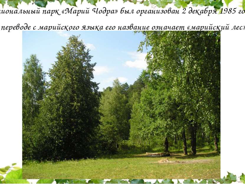 Национальный парк «Марий Чодра» был организован 2 декабря 1985 года. В перево...