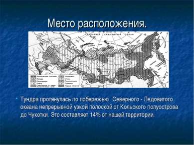 Место расположения. Тундра протянулась по побережью Северного - Ледовитого ок...