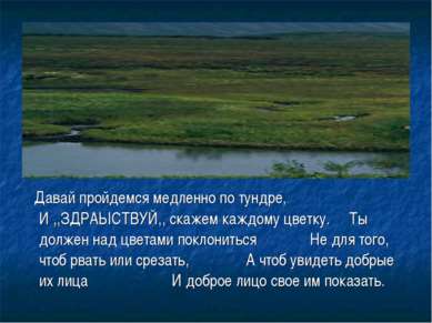 Давай пройдемся медленно по тундре, И ,,ЗДРАЫСТВУЙ,, скажем каждому цветку. Т...