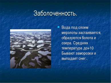 Заболоченность. Вода под слоем мерзлоты застаивается, образуются болота и озе...