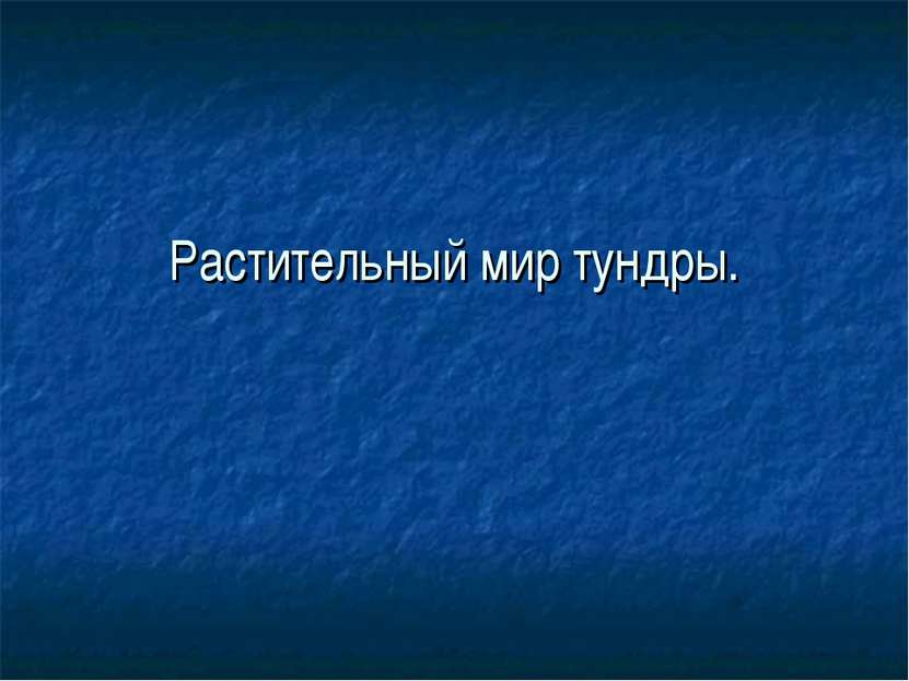 Растительный мир тундры.