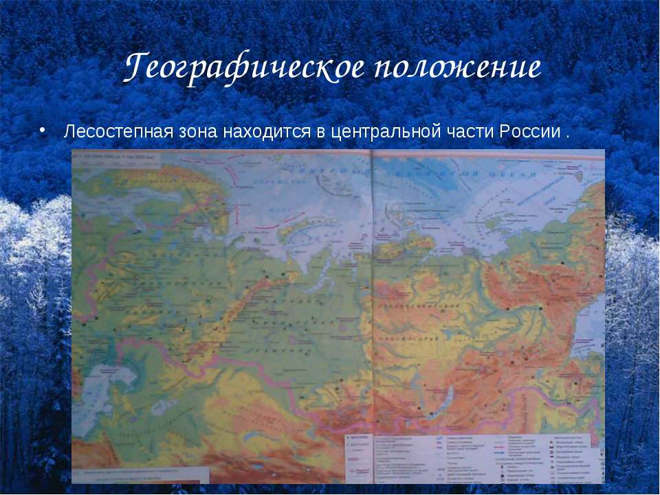 Лесостепная зона на карте. Географическое положение лесостепи. Лесостепная зона России географическое положение. Зона лесостепей географическое положение. Географическое расположение лесостепной зоны.