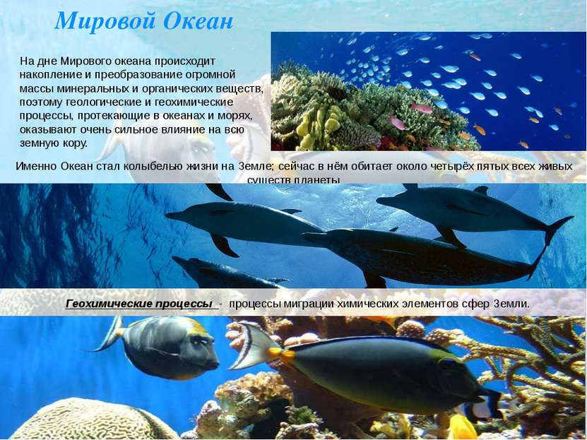 Мировой Океан На дне Мирового океана происходит накопление и преобразование о...