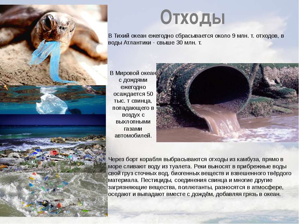 Экологические тихого океана. Загрязнение океана. Экологические проблемы Тихого океана. Экологические пролемытихого океана. Проблемы мирового океана.
