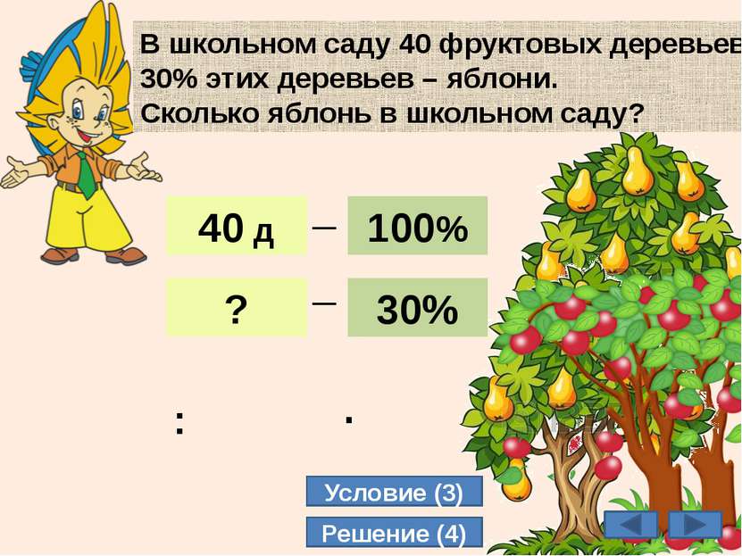 12 В школьном саду 40 фруктовых деревьев. 30% этих деревьев – яблони. Сколько...