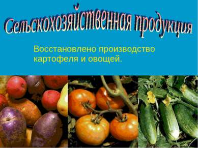 Восстановлено производство картофеля и овощей.