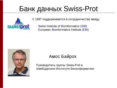 Банк данных Swiss-Prot Амос Байрох Руководитель группы Swiss-Prot в Швейцарск...