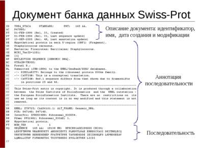 Документ банка данных Swiss-Prot Описание документа: идентификатор, имя, дата...