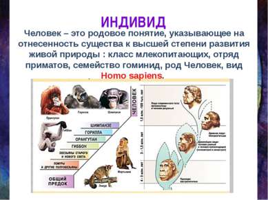 ИНДИВИД Человек – это родовое понятие, указывающее на отнесенность существа к...