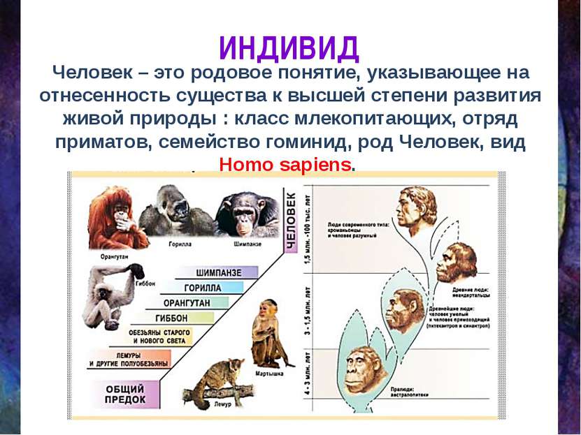 ИНДИВИД Человек – это родовое понятие, указывающее на отнесенность существа к...