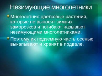 Незимующие многолетники Многолетние цветковые растения, которые не выносят зи...