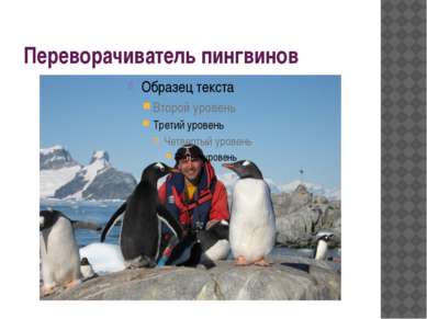 Переворачиватель пингвинов 