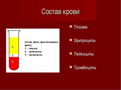 Состав крови Плазма Эритроциты Лейкоциты Тромбоциты