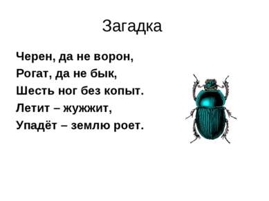 Загадка Черен, да не ворон, Рогат, да не бык, Шесть ног без копыт. Летит – жу...