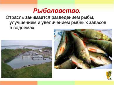 Рыболовство. Отрасль занимается разведением рыбы, улучшением и увеличением ры...