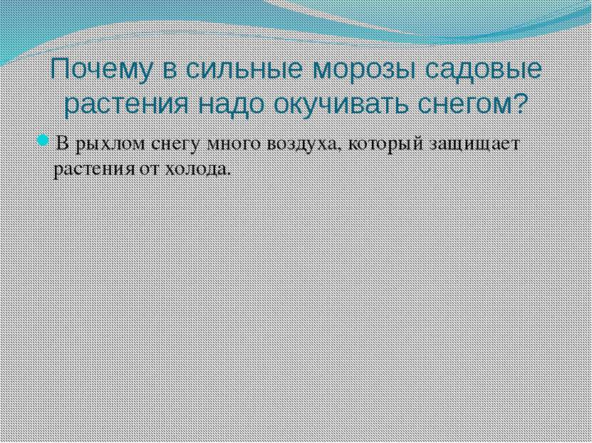 Почему в сильные морозы садовые растения надо окучивать снегом? В рыхлом снег...