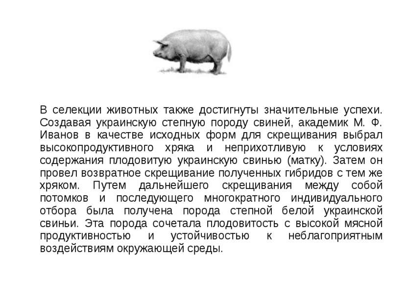В селекции животных также достигнуты значительные успехи. Создавая украинскую...