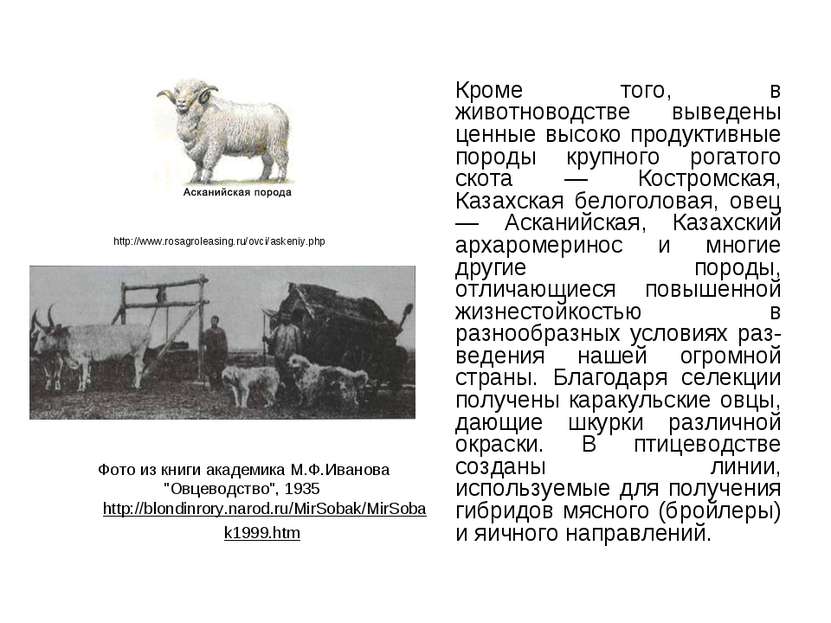 http://www.rosagroleasing.ru/ovci/askeniy.php Кроме того, в животноводстве вы...
