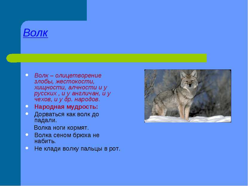 Волк Волк – олицетворение злобы, жестокости, хищности, алчности и у русских ,...