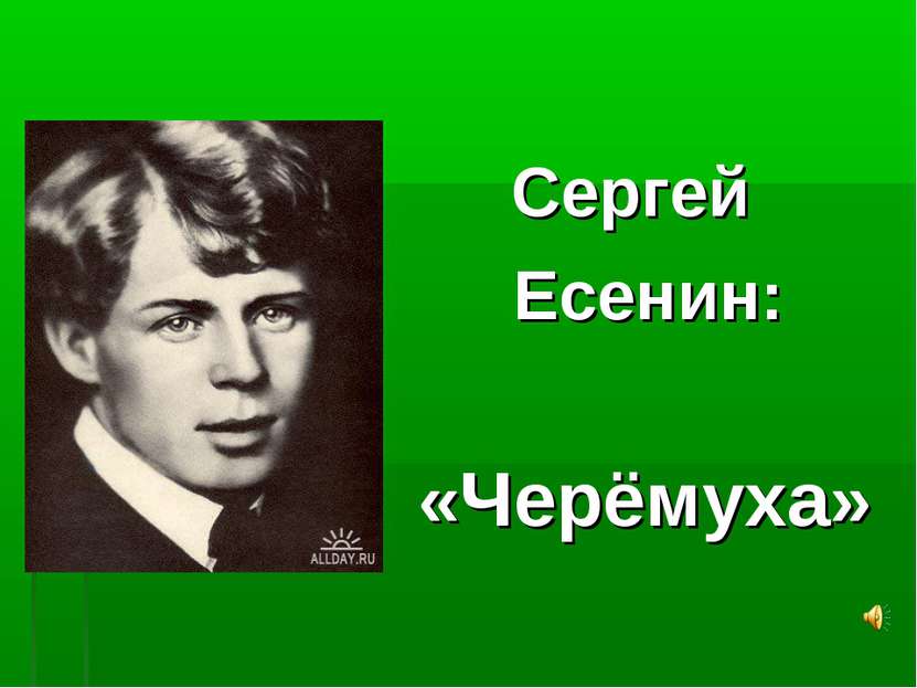 Сергей Есенин: «Черёмуха»