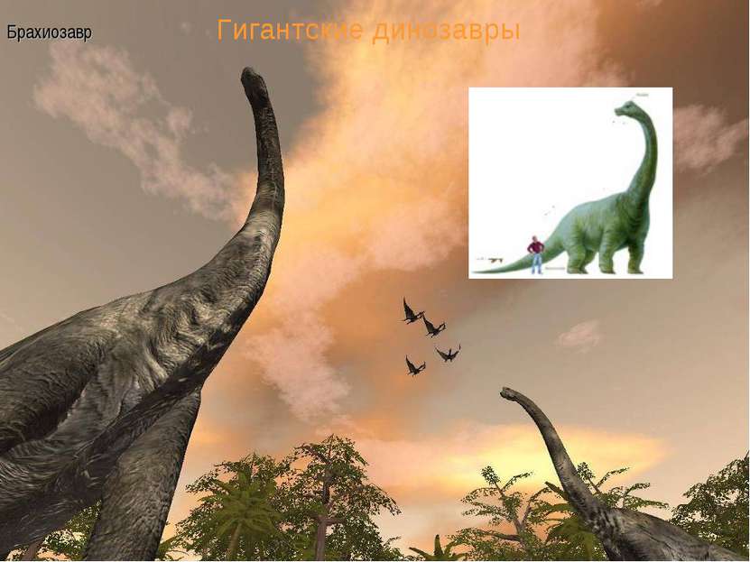 Гигантские динозавры Брахиозавр