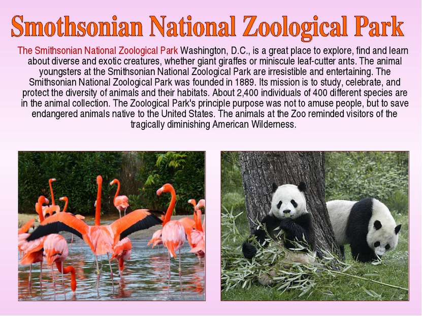 The Smithsonian National Zoological Park Washington, D.C., is a great place t...