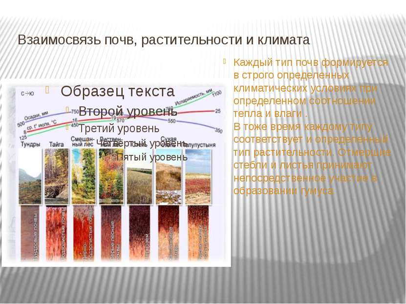 Взаимосвязь почв, растительности и климата Каждый тип почв формируется в стро...