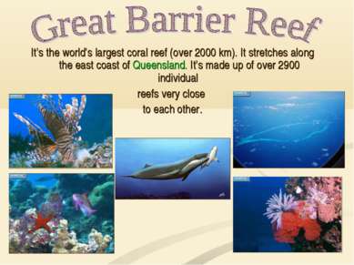 It’s the world’s largest coral reef (over 2000 km). It stretches along the ea...