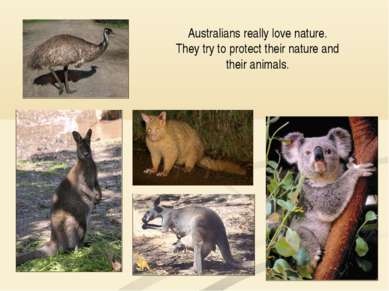 Australians really love nature. They try to protect their nature and their an...