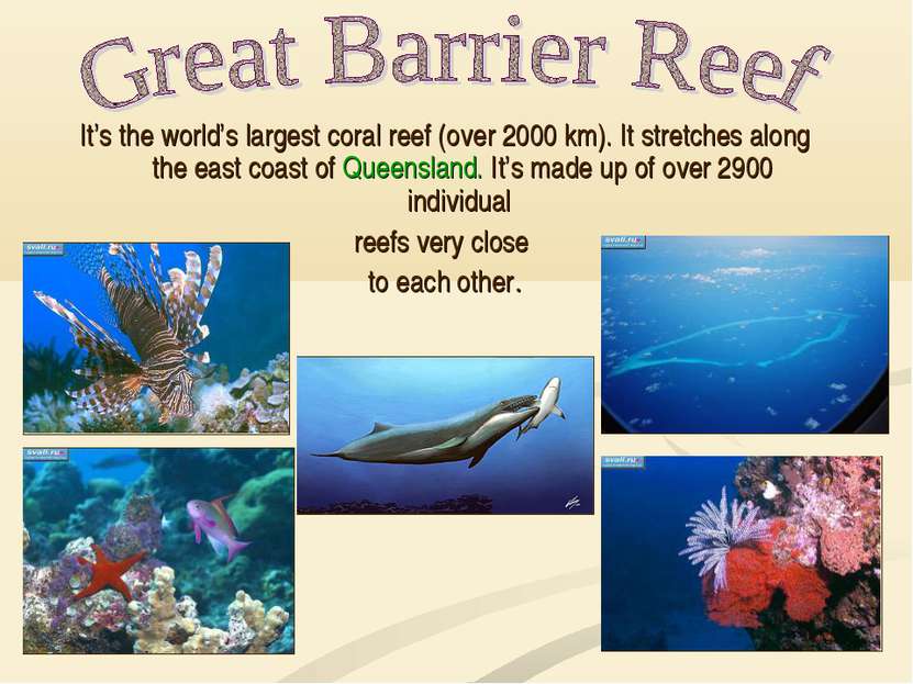 It’s the world’s largest coral reef (over 2000 km). It stretches along the ea...