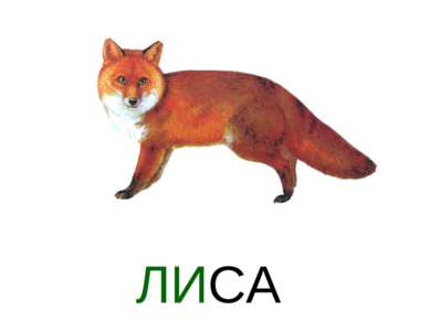 ЛИСА