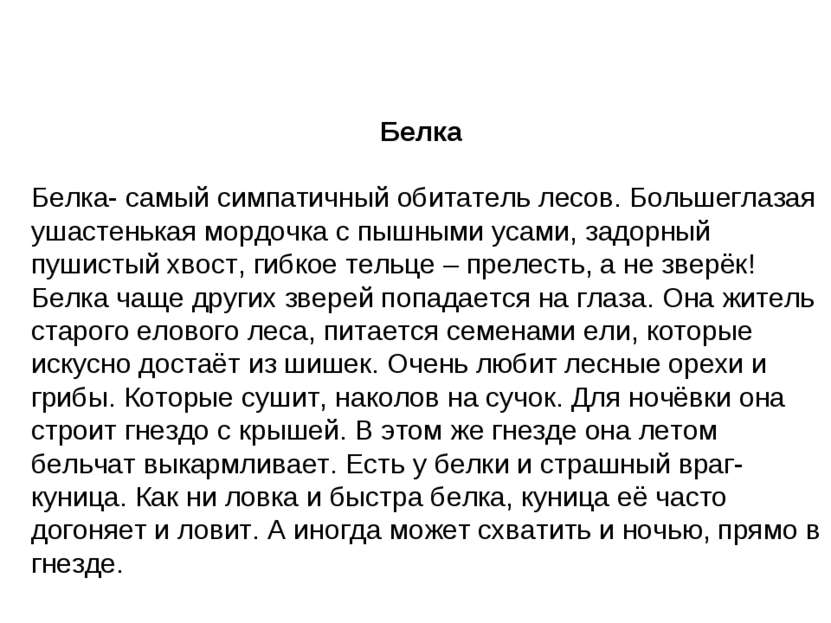 Белка Белка- самый симпатичный обитатель лесов. Большеглазая ушастенькая морд...