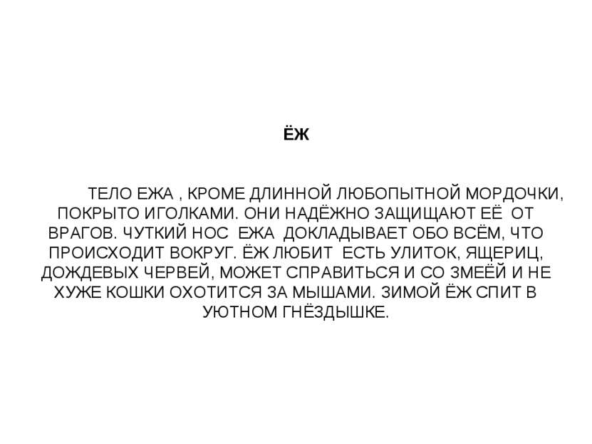 ЁЖ ТЕЛО ЕЖА , КРОМЕ ДЛИННОЙ ЛЮБОПЫТНОЙ МОРДОЧКИ, ПОКРЫТО ИГОЛКАМИ. ОНИ НАДЁЖН...