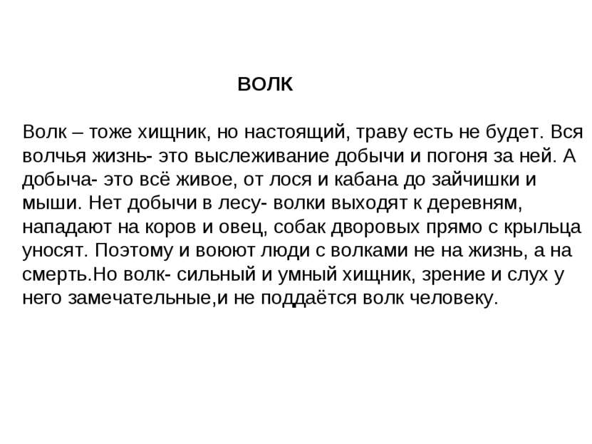 ВОЛК Волк – тоже хищник, но настоящий, траву есть не будет. Вся волчья жизнь-...