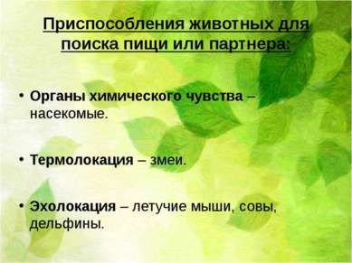 Приспособления животных для поиска пищи или партнера: Органы химического чувс...