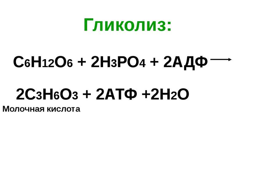 Гликолиз: С6Н12О6 + 2Н3РО4 + 2АДФ 2С3Н6О3 + 2АТФ +2Н2О Молочная кислота