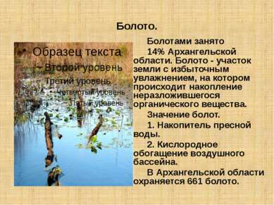 Болото. Болотами занято 14% Архангельской области. Болото - участок земли с и...