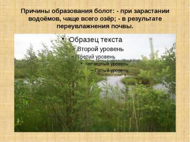 Причины образования болот: - при зарастании водоёмов, чаще всего озёр; - в ре...