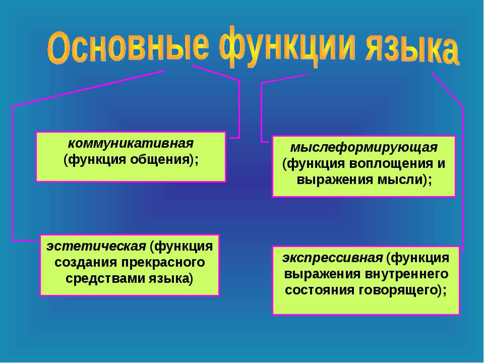 Основными функциями коммуникации являются. Коммуникативная функция языка. Коммуникативная функция языка примеры. Функции языка. Функции языка в русском языке.