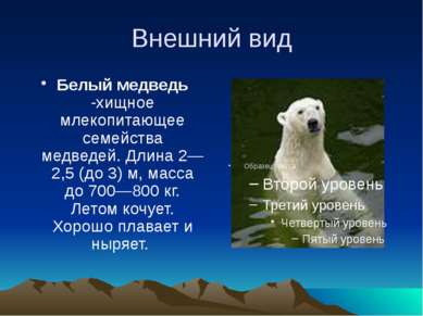 Внешний вид Белый медведь -хищное млекопитающее семейства медведей. Длина 2—2...