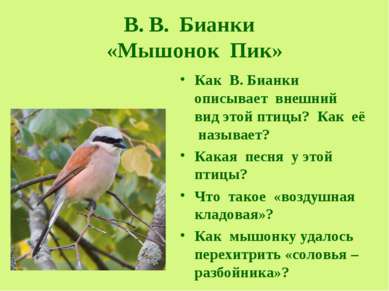 В. В. Бианки «Мышонок Пик» Как В. Бианки описывает внешний вид этой птицы? Ка...