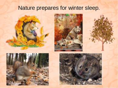 Nature prepares for winter sleep.