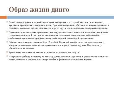 Образ жизни динго Динго распространены по всей территории Австралии – от горн...