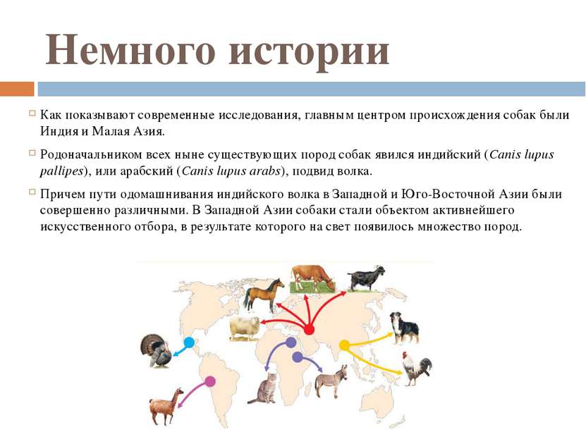 Немного истории Как показывают современные исследования, главным центром прои...