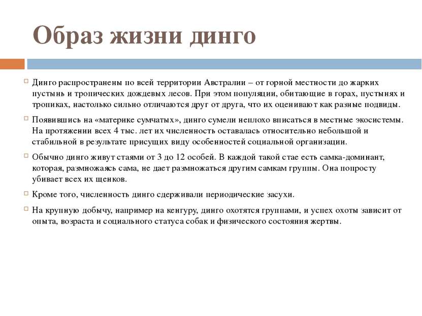 Образ жизни динго Динго распространены по всей территории Австралии – от горн...