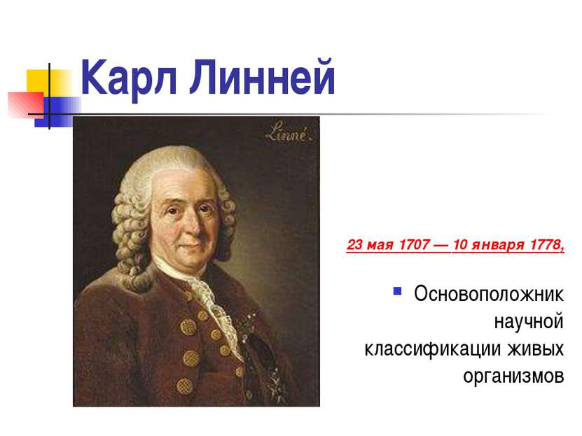 Карл Линней 23 мая 1707 — 10 января 1778, Основоположник научной классификаци...