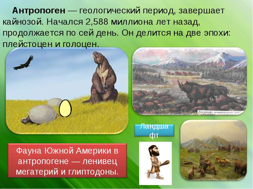 Антропоген — геологический период, завершает кайнозой. Начался 2,588 миллиона...