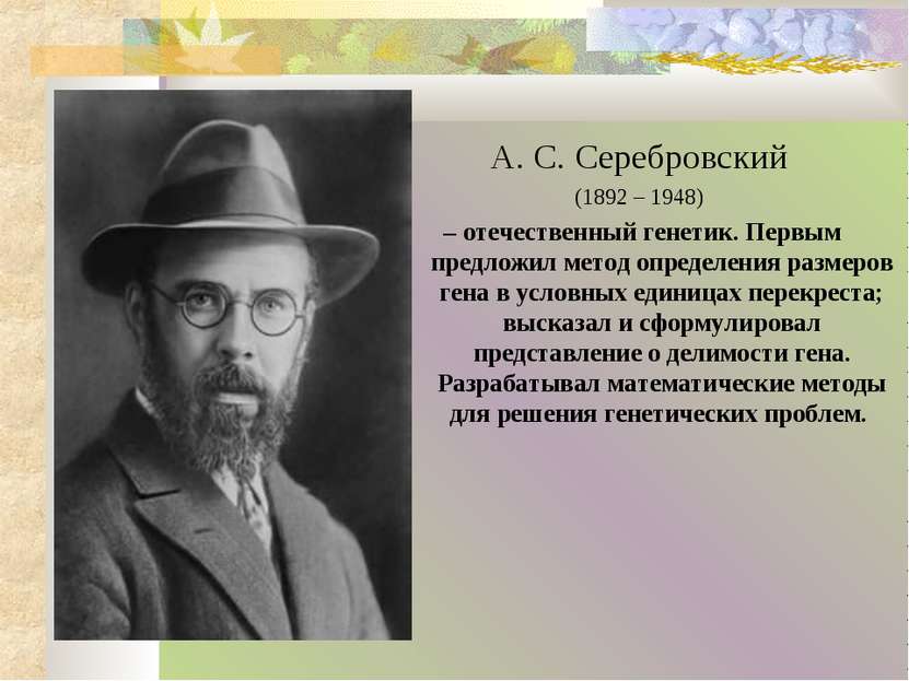 А. С. Серебровский (1892 – 1948) – отечественный генетик. Первым предложил ме...