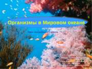 Организмы в Мировом океане (6 класс)