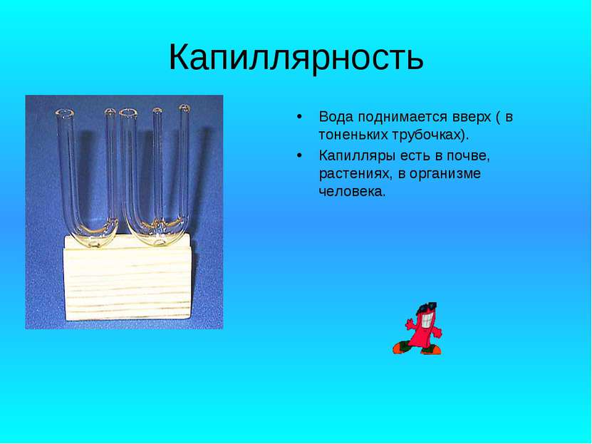 Капиллярность Вода поднимается вверх ( в тоненьких трубочках). Капилляры есть...